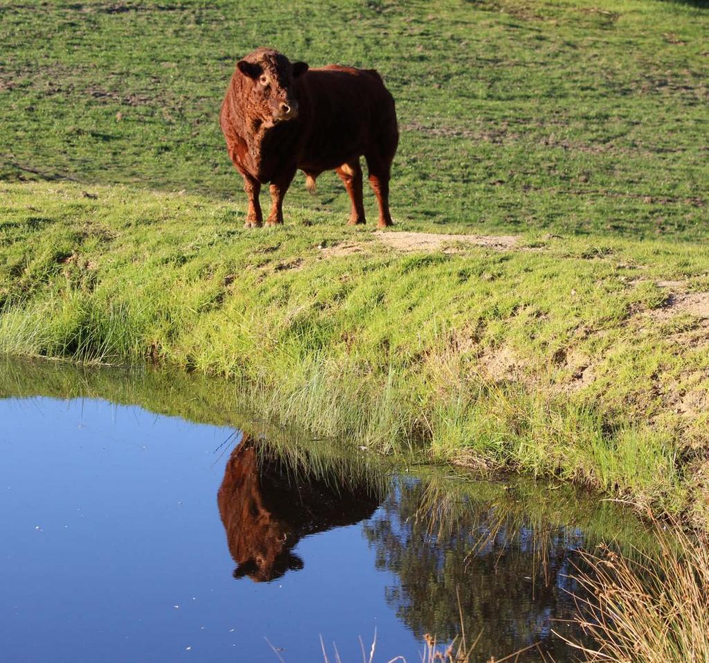 Vlaanderen is milieu Nutriënten in oppervlaktewater in