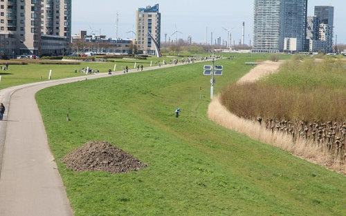 Maasboulevard met fietspad en ruimte voor recreatie Aan het einde van de twintigste eeuw werd veel gebouwd in het dorp. Spijkenisse was een groeikern geworden.