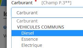 Enkel de vakken met een rood * zijn verplicht in te vullen Nummerplaat Datum 1 ste inschrijving Motorhome = catégorie M1 Diesel (Essence = benzine) Belgique Chassisnummer Merk van het voertuig (