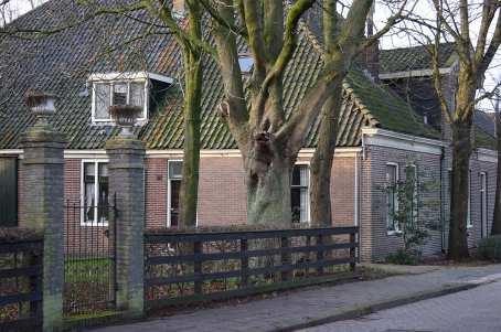 Zuideinde 183-185 en 193-195 te Westzaan