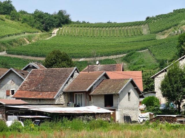 Figuur 4: Heuvelhellingen met wijngaarden in Lucey [Vin de Savoie (Jongieux) en Roussette de Savoie (Marestel)] (coördinaten: 45.76, 5.795) 2.1.