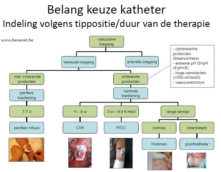 4Vascular access 4Antimicrobial selection, drug and medical devices delivery, patient monitoring