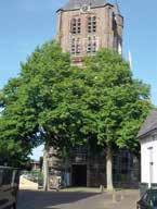 Bomenliefhebbers moeten ook even op het kerkhof aan de linkerzijde van de kerk kijken waar twee prachtige roodbladerige treurbeuken staan ( ).