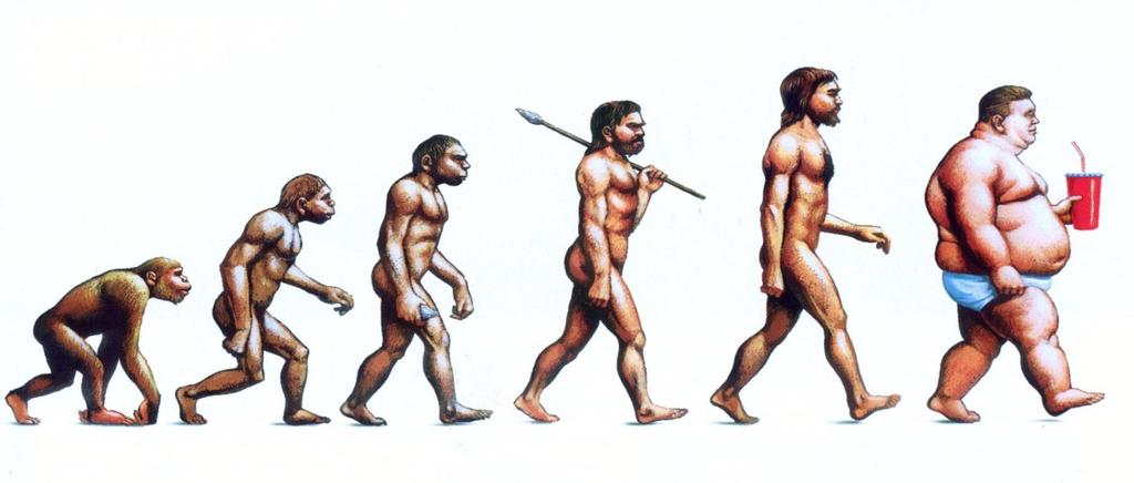 Evolutie