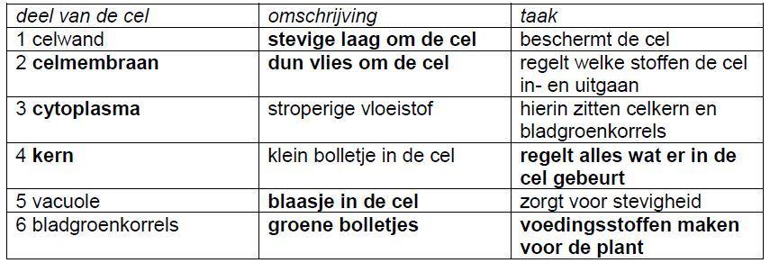 12. benoem delen van bloem 13. hetzelfde als 12 14. weer 15.