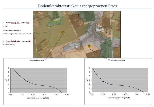 DEMO JONGE AANPLANT ASPERGES Crop Asperges Variety Gijnlim deel (BDB), Fruhlim (PSKW) Plantingdate 18 april 2018 Texturesoil