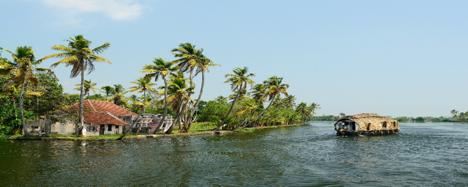 Dag 05: Periyar - Kumarakom: (35 km / 03.30 uur) In de ochtend gaat u varen op de backwaters.