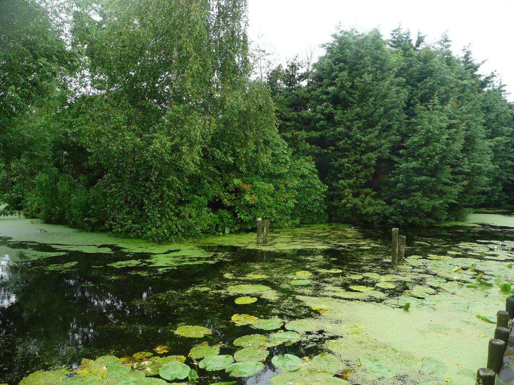 Het plangebied in de bebouwde kom heeft geen relatie met dit kwetsbare gebied.