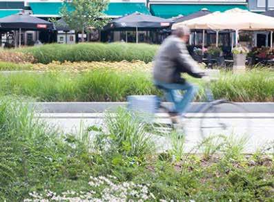 In de bestaande fietstunnel verruimen aan beide zijden de tunnelmonden, worden hellingen flauwer en wordt groen toegevoegd.