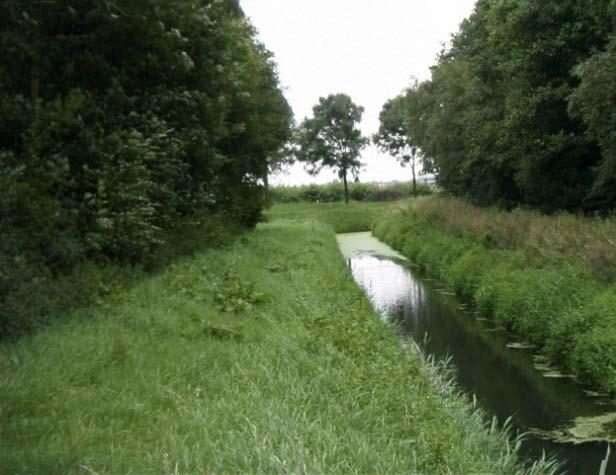 HOOG Het gras wordt gemaaid en toont een egaal beeld zonder diepe kuilen. Kwaliteitsnorm: per 100 m1 onderhoudspad Geen sporen dieper dan 100 mm t.o.v.