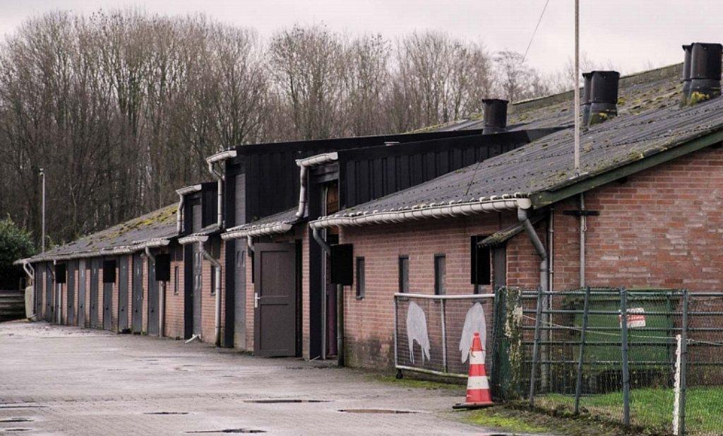 Redenen om te stoppen (1) Intensieve veehouderij: - Financiële moeilijkheden, knellende wet-regelgeving en