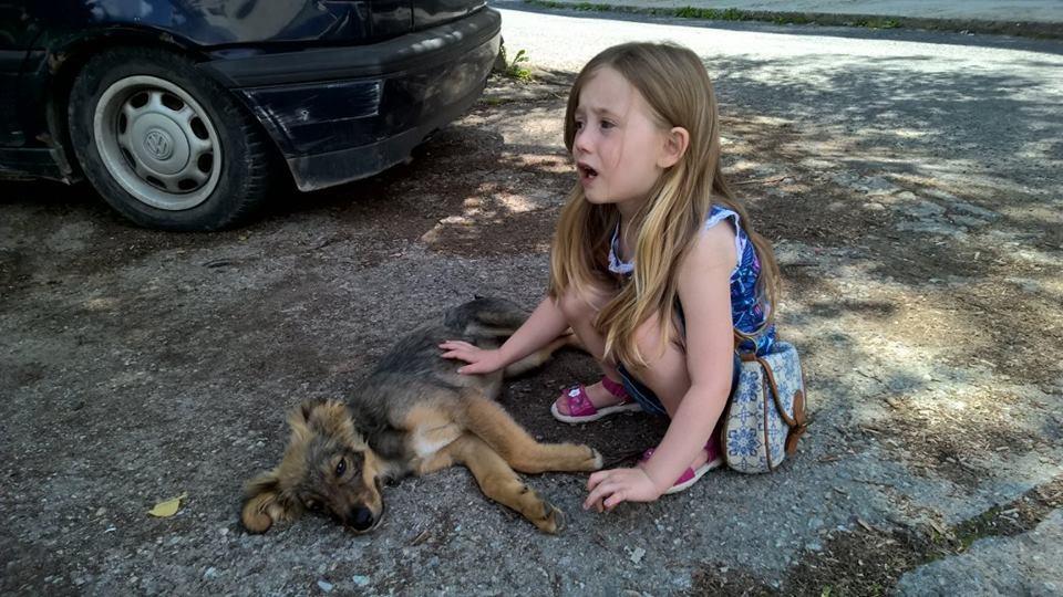 Pagina 2 NIEUW IN DE OPVANG Floki Gered 03 juli 2015 Yana, de 3-jarige kleindochter van Tony en Diane, heeft deze pup van de straat gered.
