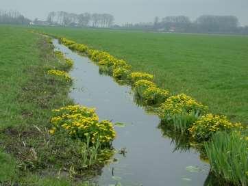 Dotter-project Topsector Water TKI-Topconsortia in Kennis en Innovatie