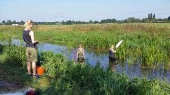 Casus Lage Raam (Mill) Verdere uitbreiding dataset voor koppeling fotobeelden aan vegetatie typen en stromingspatronen/weerstand Opnames van vegetatie volgens KRW systematiek Opnames van biomassa