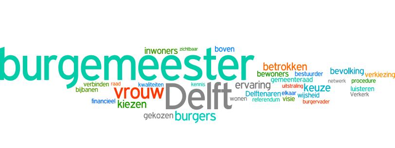 Gemeente Delft Cluster GBO /