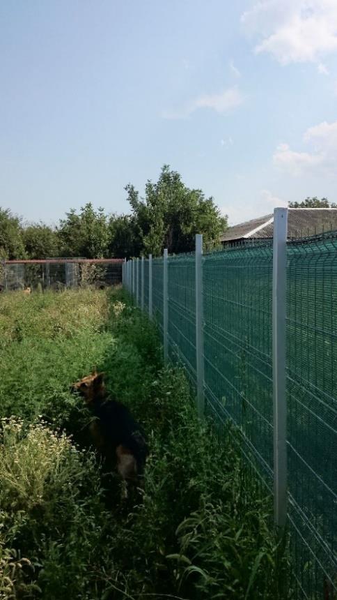 In juni 2014 is de Fundatia ''Ia-ti acasa un prieten'' uitgebreid met nieuwe kennels, speciaal voor puppy s. De nieuwe kennels zijn groter en worden geplaatst in een rustige hoek van het asiel.