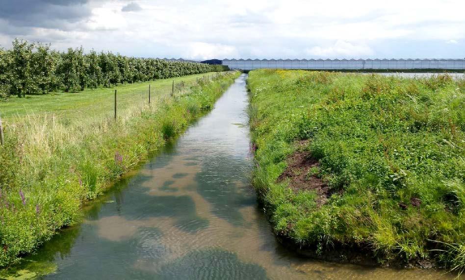 Drijvend Zonnepark Bergerden Duurzaamheid 4 landelijk omgeving Energie gaat binnenkort een van de grootste drijvende zonneparken in Nederland realiseren.