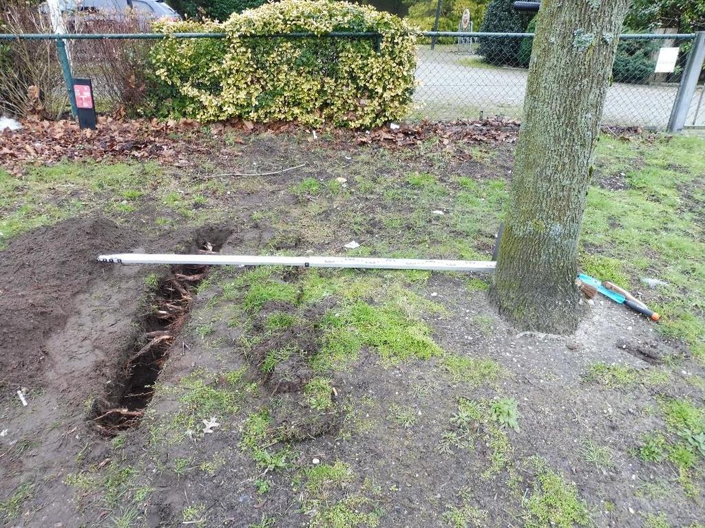 4.2.2 Weegbreestraat Ten noorden op 1,7 meter uit het hart van boom 14 is een proefsleuf gegraven.