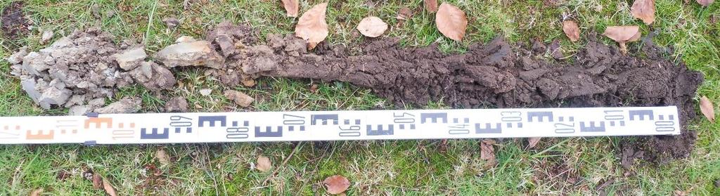 27) in het gras nabij boom 36. De bodem bestaat gemiddeld uit het volgende profiel.