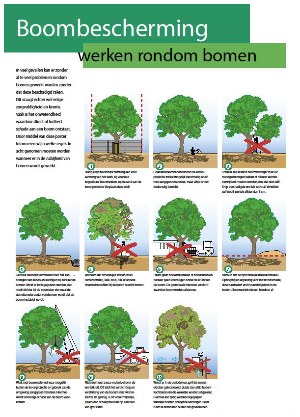 Bomen Effect Analyse herontwikkelingsprojecten diverse