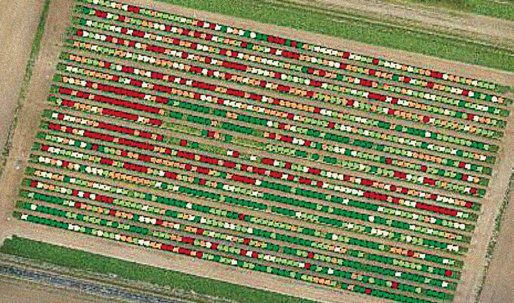 De vraag naar waterefficiënte akkerbouwgewassen en bieten in het bijzonder neemt hierdoor dan ook toe. WAT IS UW ANALYSE VAN DAT FENOMEEN?