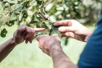 Waar kan je zoal terecht als natuurgids?