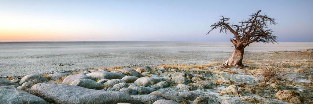 oppervlakte van meer dan 16.000 vierkante kilometer. Ze zijn ontstaan nadat het Makgadikgadimeer ongeveer 10.