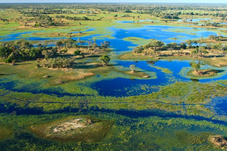Dag 12 /13 : Twee dagen genieten in de Okavango delta (O,L,D) Safari activiteiten zoals 4x4 ritten, boottochten (oa mokoro), wandelsafari De Okavango delta in Botswana is de grootste binnenlandse