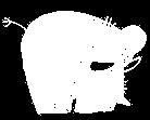 Klassieke olifant: Kwantumolifant: Positie = hier Kleur = grijs Grootte = heel groot Positie: Positie object bestaat