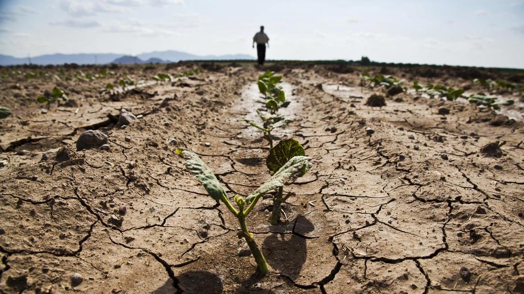 Hypothese Vlakdekkende informatie over watervoorraad/beschikbare berging bodem is essentieel onderdeel van de informatievoorziening voor het optimaal benutten van het watersysteem (zowel aanvoer- als