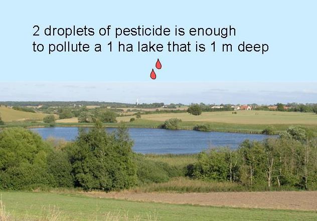 0,1 µg/l = 0,0000001 g/l = 1 g per 10 miljoen liter water (= 10.000m³ water) PROBLEMATIEK 2 druppels van een pesticide is voldoende om een meer te 1.