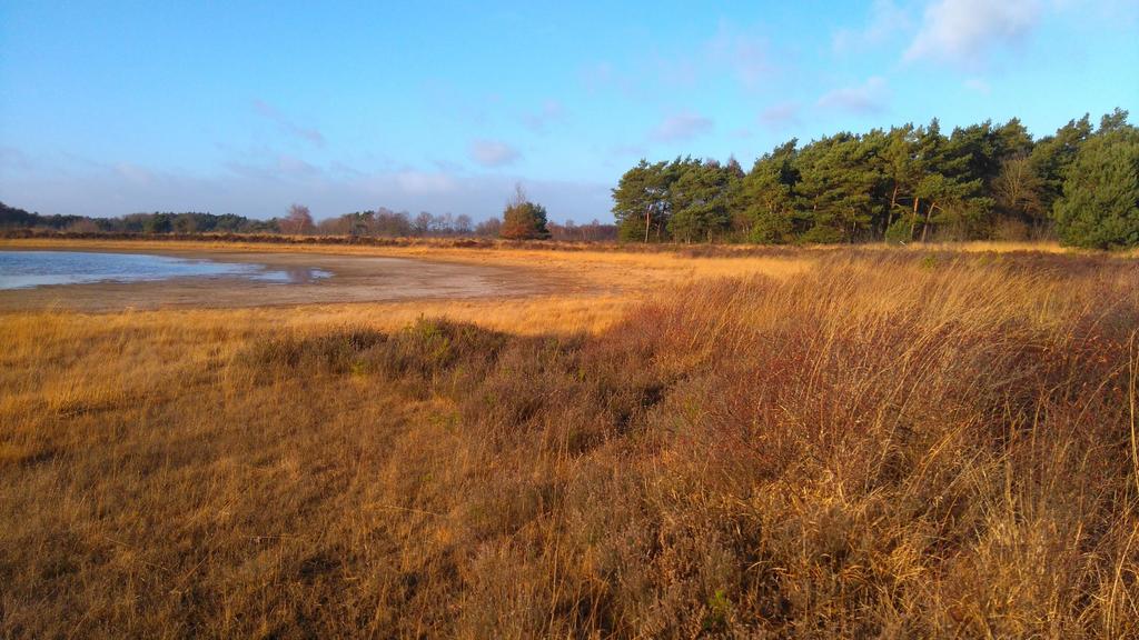 Bergvennen Ronde ven Actuele zone