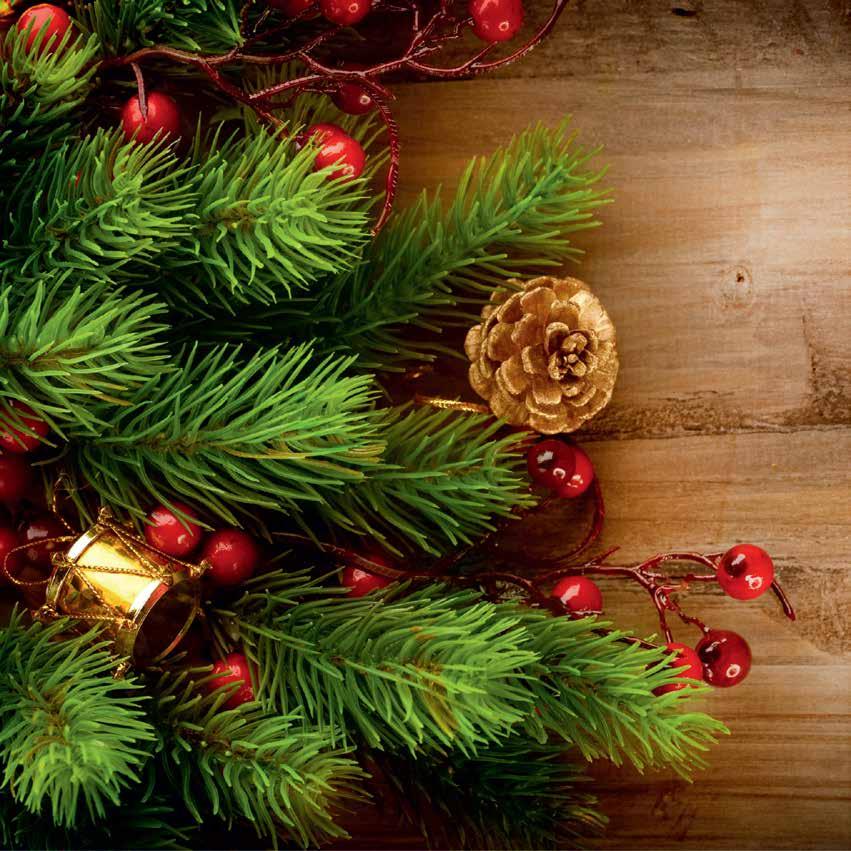 Weihnachten im gesamten Sortiment erhältlich von Conica - cm bis 9 Meter Baum! Conica of - cm to 9-meter Christmas trees!
