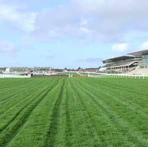 Parken Stadion Ben Hastie Hoofd fieldmanager Cheltenham Racecourse, Verenigd Koninkrijk Ik gebruik Masterline met 4turf voor onze velden.