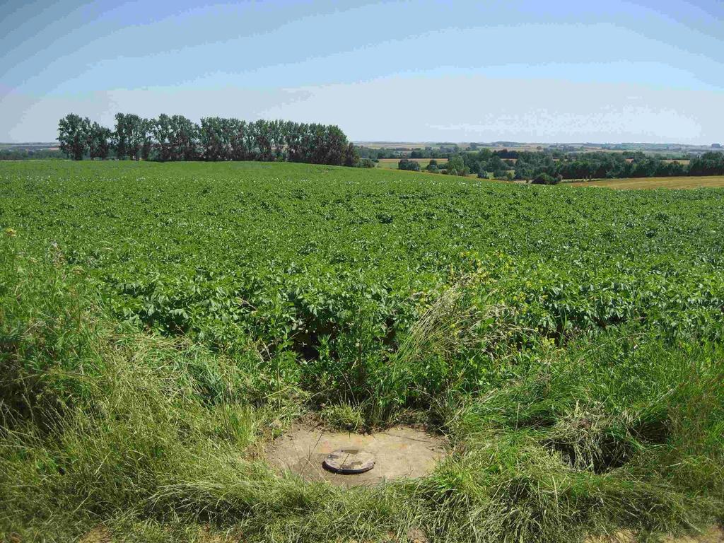 Indeling Vlaanderen in hydrogeologisch homogene zones Zones met vergelijkbare fysische en chemische randvoorwaarden voor de verspreiding en de afbraak van nitraat in het grondwater van de hiermee