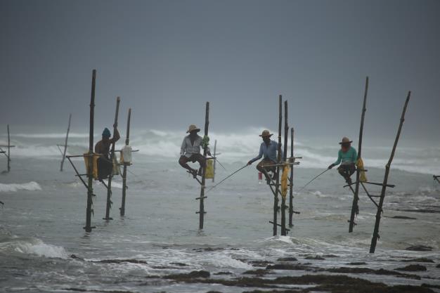 Dag 17: woensdag 20 november 2019 Colombo Mumbai (o) Vandaag een vrije dag. In de avond vliegen we naar Mumbai.