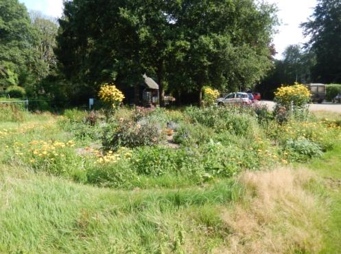 De oogsten zijn echt verrassend overvloedig. De schoonheid van de tuin wordt voor steeds meer mensen zichtbaar én voelbaar.