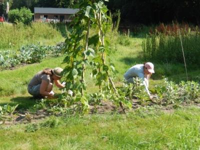 schattige zakjes met