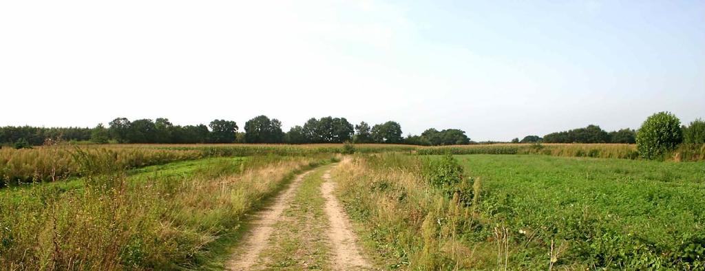 Bossen langs de Theurkeslossing Bossen langs de Theurkeslossing mais verdoezelt hoogteverschillen.