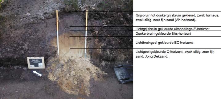 In 2019 worden de plagwerkzaamheden op de Uddelse heide wederom archeologisch begeleid. Afbeelding 25. Vuurstenen pijlpunt die bij het plaggen op de Uddelse heide is gevonden (foto: Assist Explore).