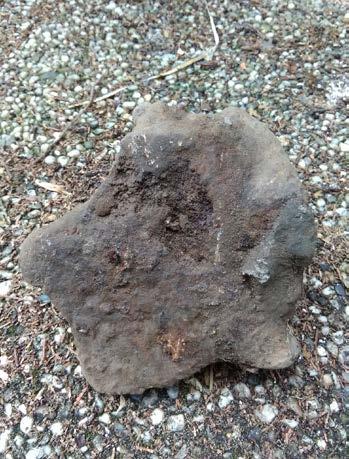 Een klappersteen Tijdens het bodemvondstenspreekuur meldde zich een jonge bezoeker met een bijzondere steen. De specialisten konden haar vertellen dat het om een klappersteen gaat.