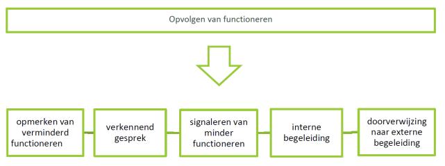 Begeleidingsproces In de praktijk Voorbeeld Broeders: