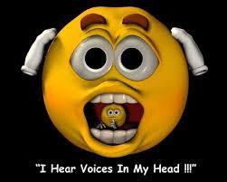 Stem Hoeveel stemmen hoor je? Hoor je de stem via je oren of van binnen uit je hoofd?