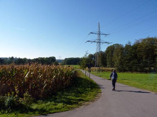 Net voor het bospad aansluit bij een smalle asfaltweg, kunnen we rechts een klein stukje afkorten door via een een droge sloot naar de asfaltweg te klimmen.