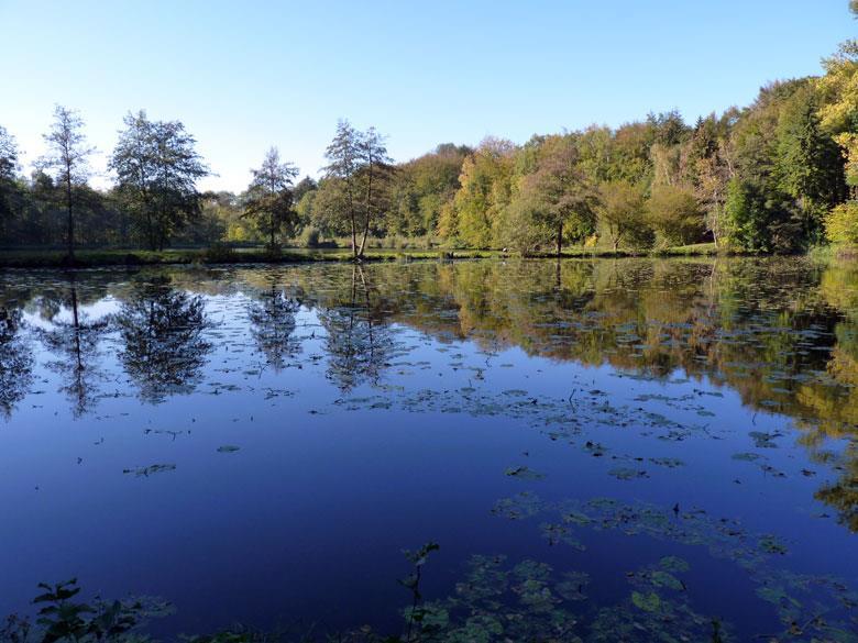 Net voor we bij het houten hek van het uitzichtpunt zijn kruisen we nog een smal wandelpad. Hier vinden we de 'H' weer terug die er van links komt en die wij zo dadelijk rechtsaf gaan volgen.