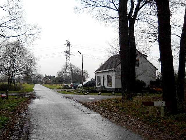 Clusterbebouwing Polderlandschap Gebied 1: Beukendreef Niveau 2 Bebouwing De bebouwing in dit gebied bestaat uit vrijstaande woningen op vrij ruime kavels.