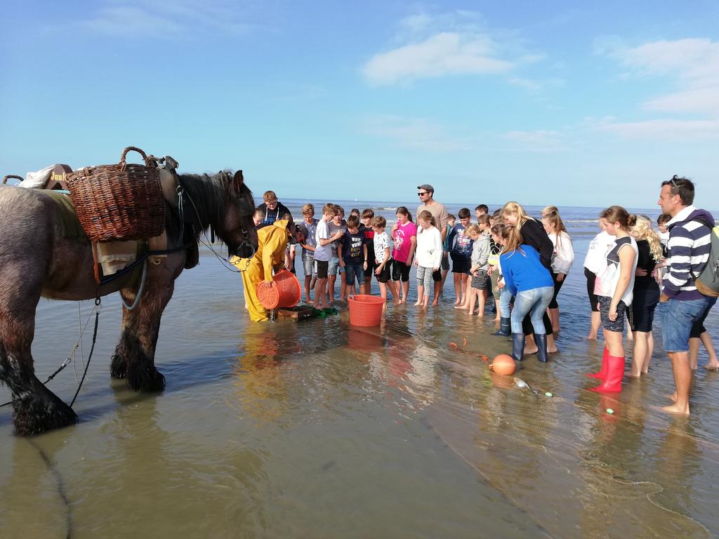 ZEEKLASSEN, DE TOPMOMENTEN VAN MATIAS Maandag gingen we voor het eerst naar zee. Het was vloed en we hadden het idee om een dam te bouwen. En hij was nog niet klein ook!