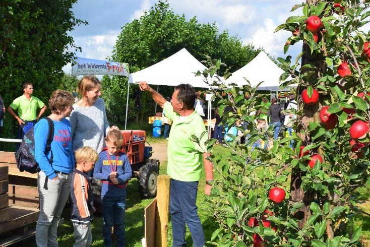 MEI RONDLEIDING ROKS FRUITTELER Aan de rand van het Dorpje Fijnaart in een mooie landelijke omgeving vindt u een 15,7 ha groot zijnde fruitbedrijf.