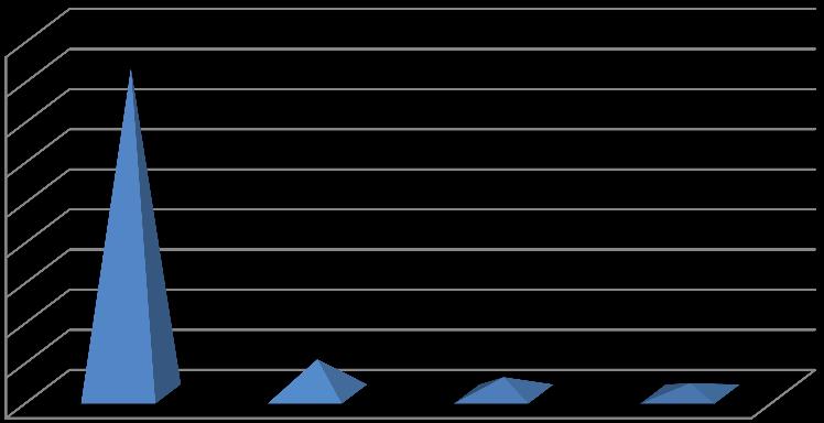 5. Verdeling over de gemeentes In onderstaande paragraven wordt grafisch de verdeling, het aantal kinderen en gezinnen weergegeven. 5.1 Spijkenisse 60.000,00 50.000,00 40.000,00 30.000,00 20.