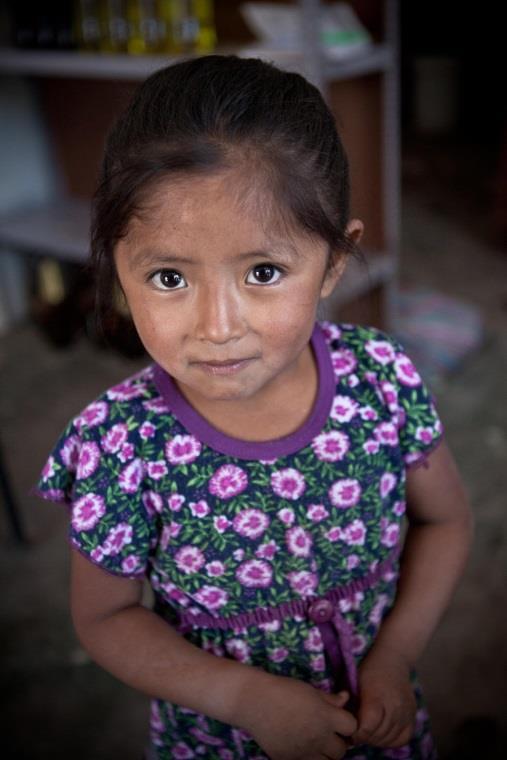 1. Over Los Cachorros Stichting Los Cachorros zet zich in voor straatkinderen van 6 tot 18 jaar en hun families in Ayacucho, Peru.